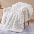 Throw Blanket for Couch Bed Fleece Flush Faux Fur Throw Blanket Back to School Room Decoration Gift 50" X 60"