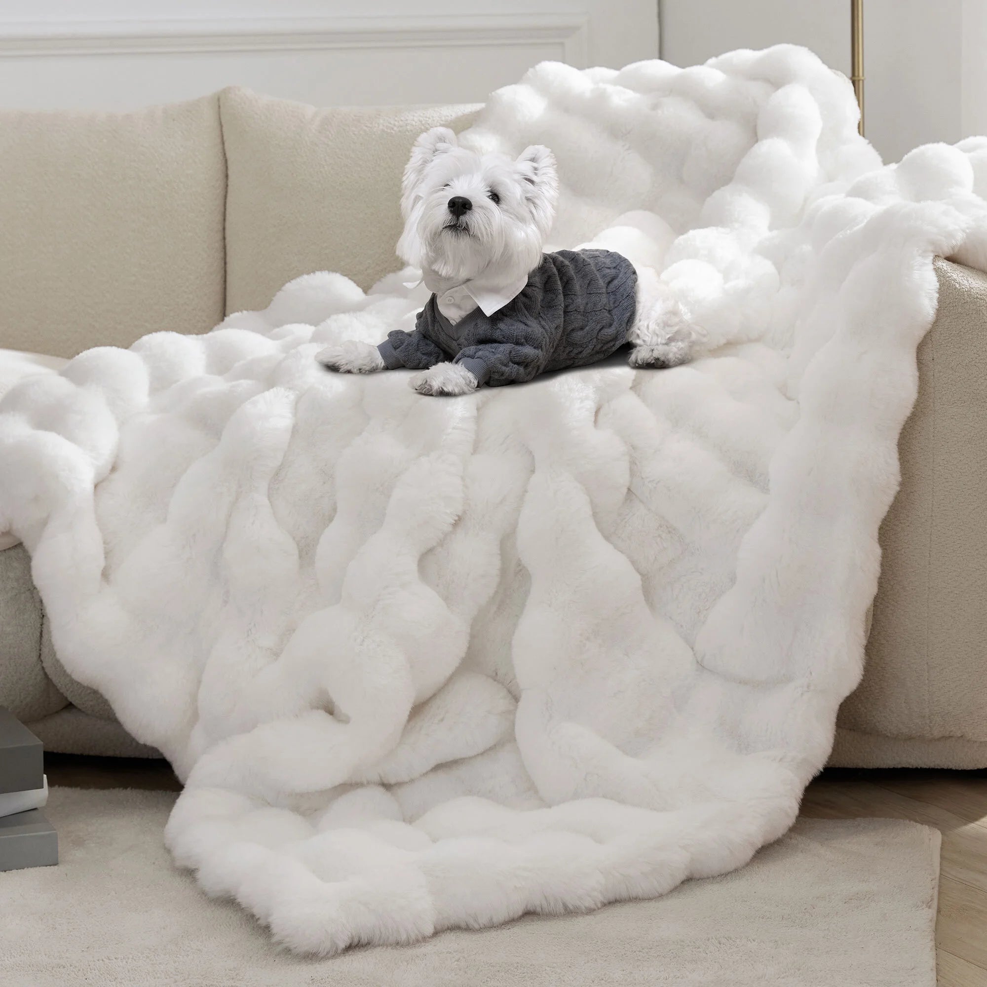 Throw Blanket for Couch Bed Fleece Flush Faux Fur Throw Blanket Back to School Room Decoration Gift 50" X 60"